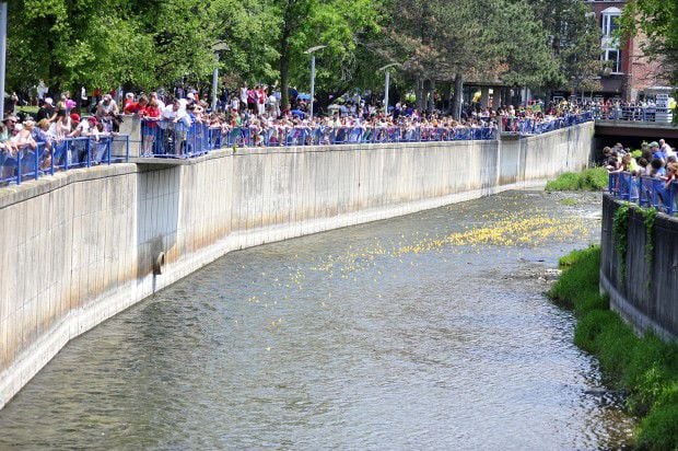Duck Derby 2012